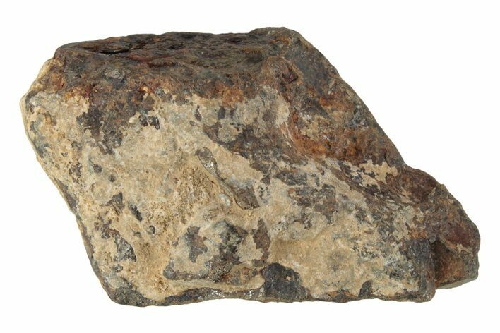 Agoudal Iron Meteorite ( grams) - Morocco #245615